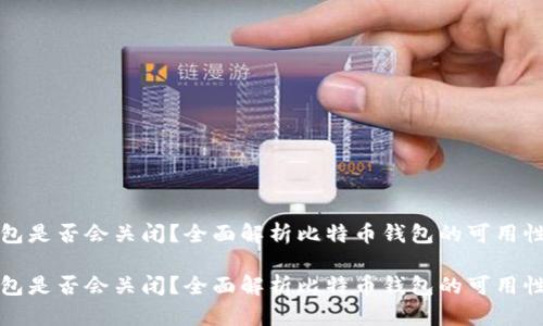 比特币钱包是否会关闭？全面解析比特币钱包的可用性与安全性

比特币钱包是否会关闭？全面解析比特币钱包的可用性与安全性