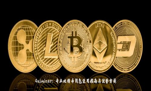 Guiminer: 专业比特币钱包使用指南与优势分析