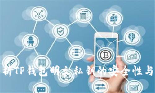 全方位解析TP钱包明文私钥的安全性与管理策略
