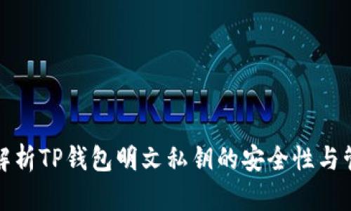 全方位解析TP钱包明文私钥的安全性与管理策略