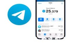 全面探索猫力区块链Token钱包源码：构建安全高效