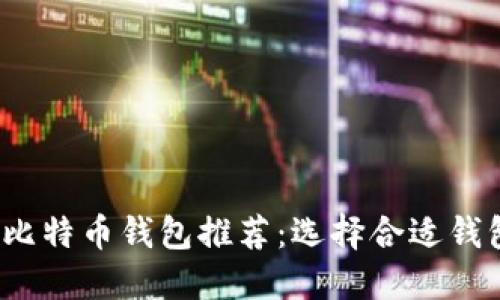 2023年最佳比特币钱包推荐：选择合适钱包的全面指南